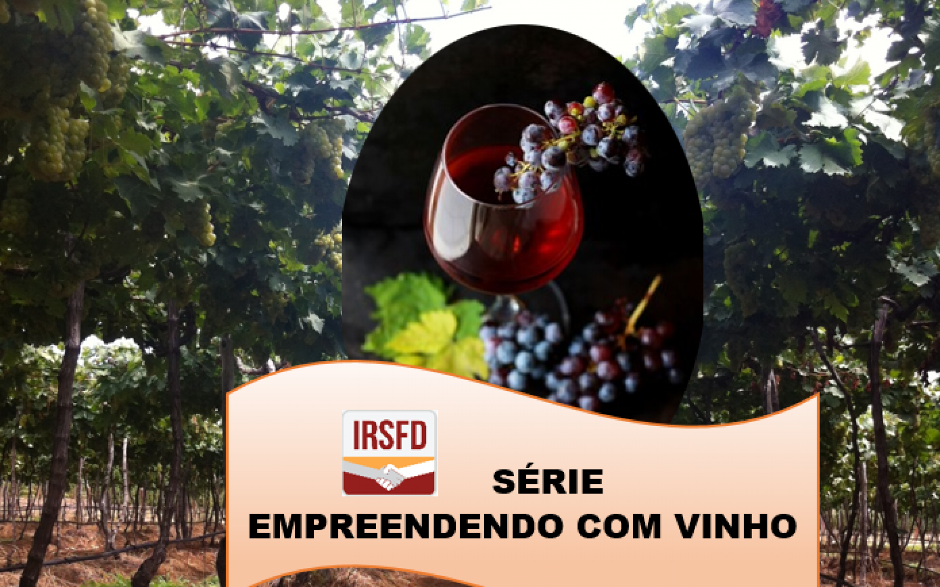 Série IRSFD – Empreendendo com vinho                               P.03 QUAIS TIPOS DE VINHOS SÃO RECOMENDADOS PARA PEQUENOS PRODUTORES?