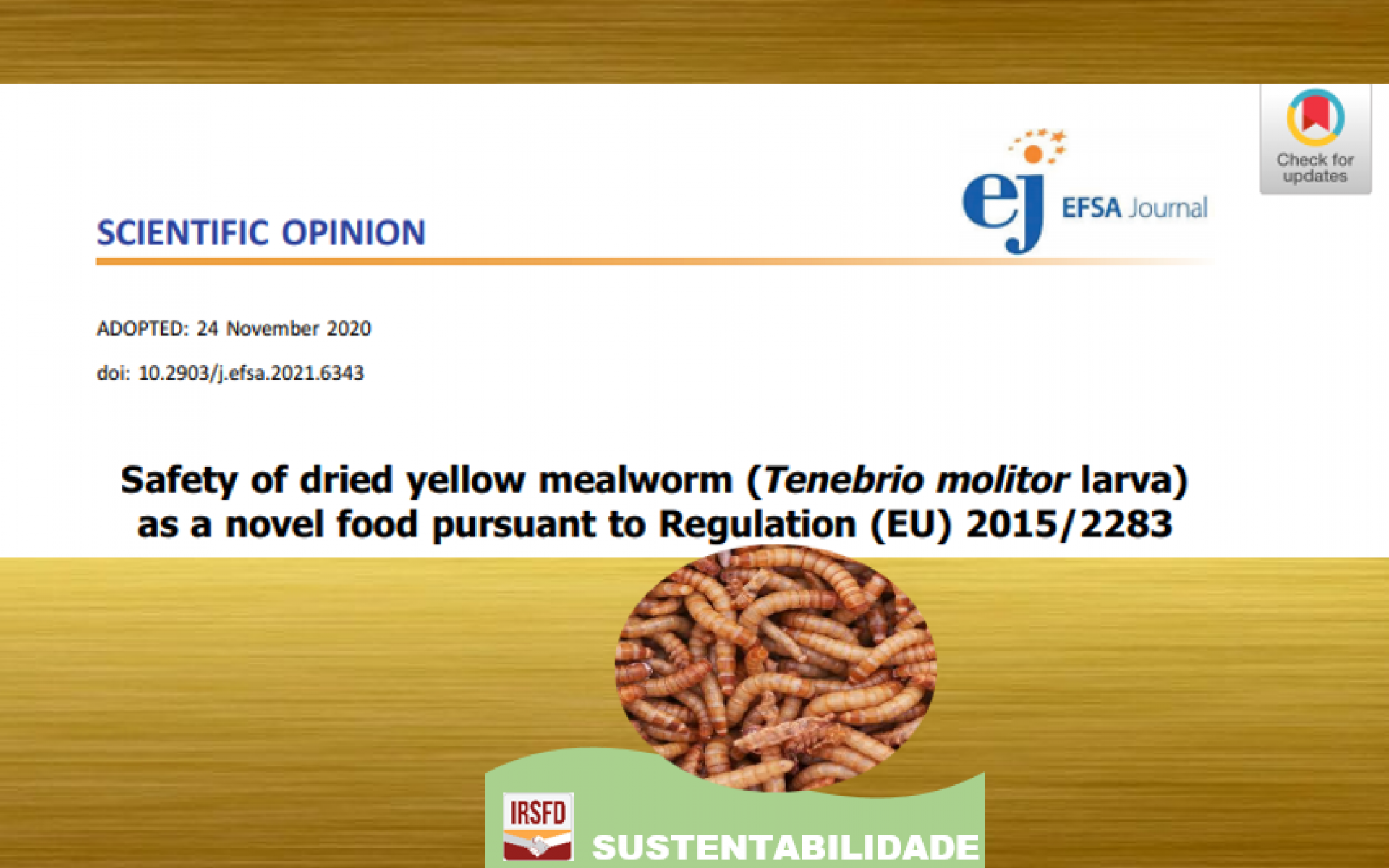 EFSA avalia e aprova a segurança do consumo das larvas do Tenébrio